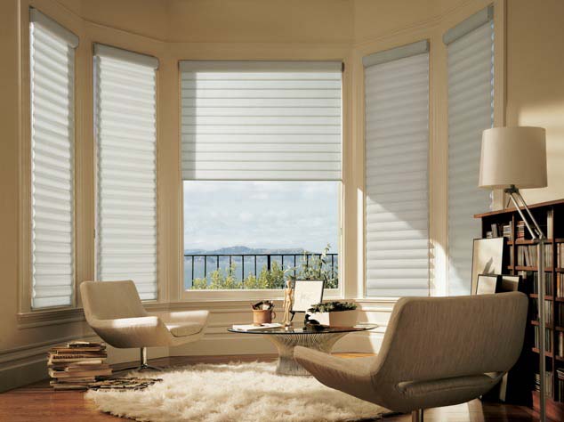 Pleated Shades A Great Window Treatment Option