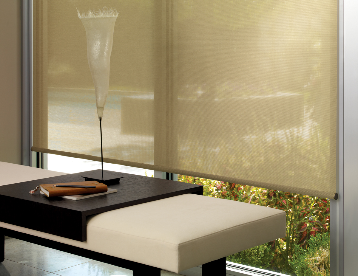 Are Roller Shades for You?