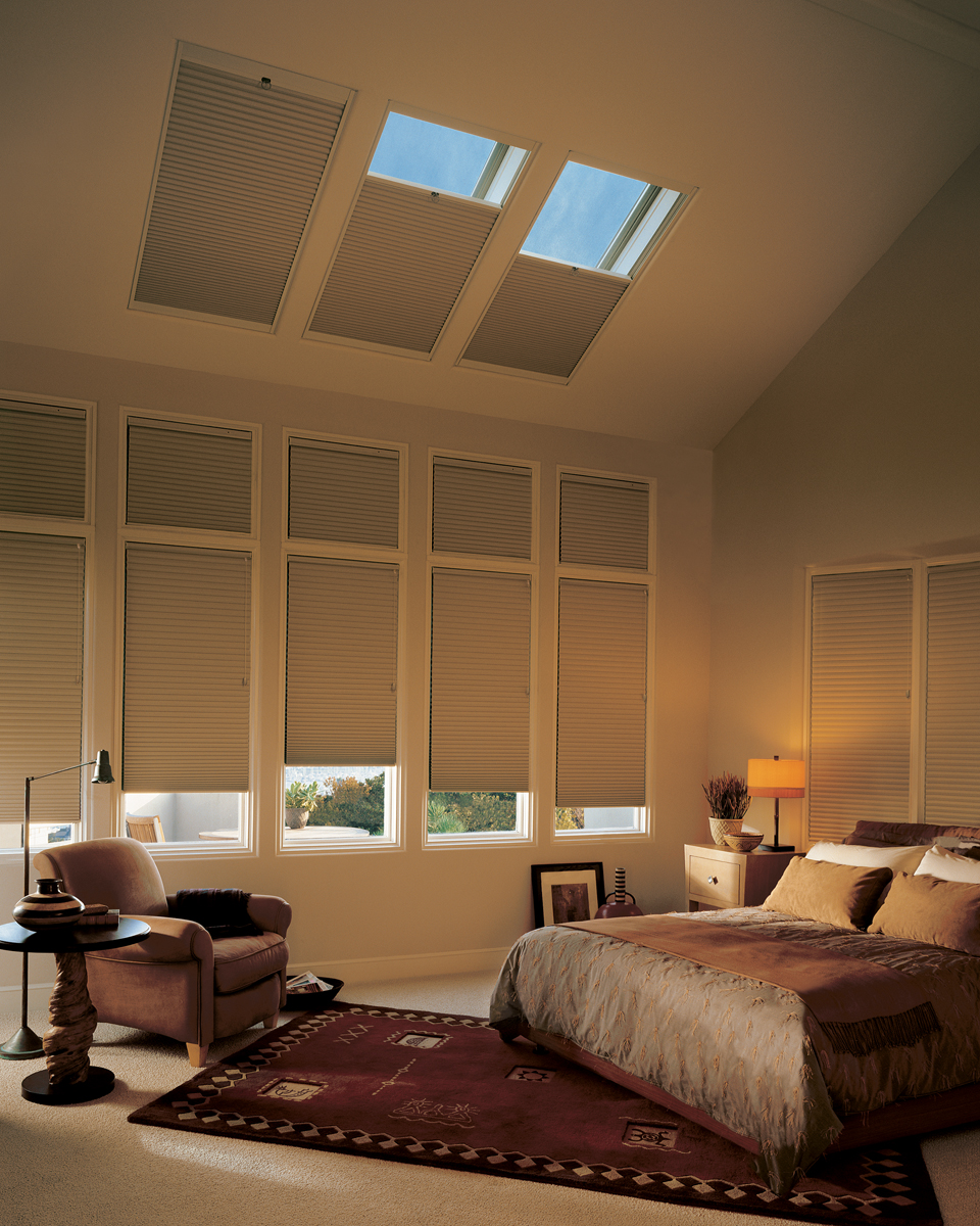 Hunter Douglas Duette Honeycomb Shades in Blackout mateiall