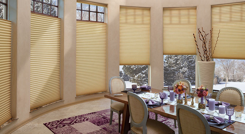 Privacy Control with Window Treatments - Charleston