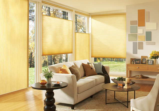 Hunter Douglas Shades Offer Style and Functionality
