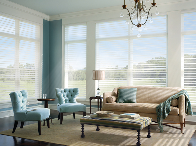 Window Treatment Choices for Light and Privacy