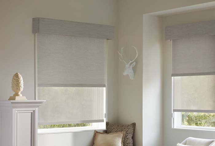 Designer Roller Shades