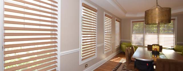 Hunter Douglas Pirouette® Window Shadings, Sheer Shades Charleston, UV Protection Shades