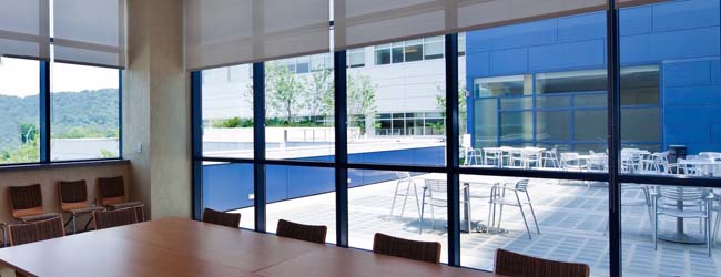 Designer Roller Shades in The Conference Room