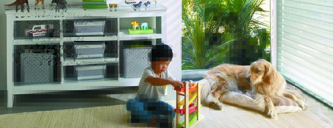 Selecting Window Coverings With Your Pets in Mind