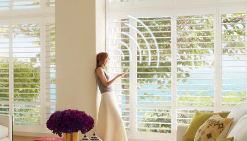 Learn More About our PowerView Motorization