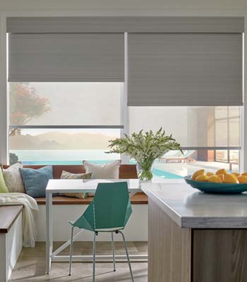 Roller and Solar Screen Shades Can Protect Your Furniture